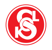 logo - TJ Sokol Brno 1
